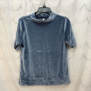 Anthropologie Light Gray Velvet Blouse
